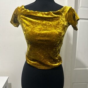 Velvet Off-Shoulder Top in Gold